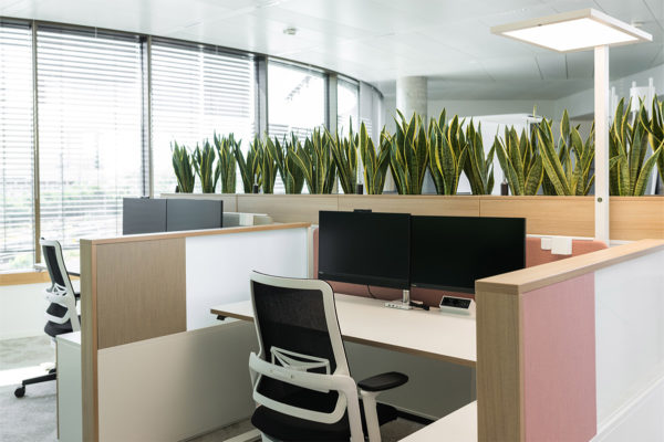 Ergonomie am Arbeitsplatz, ein komplett individualisierbarer Arbeitsplatz bei der Firma Noventi