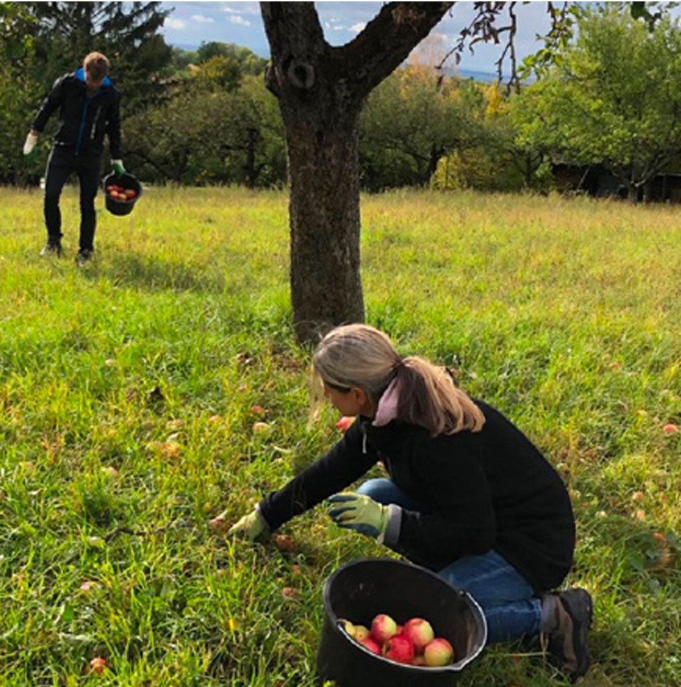 Streuobstwiesen