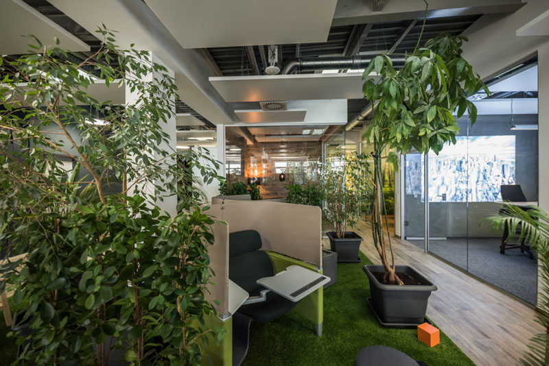 Effizient Arbeiten im Büro, viele Pflanzen Effizient Arbeiten im Büro, viele Pflanzen