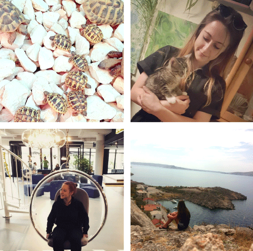 Janina von zur Mühlen Collage