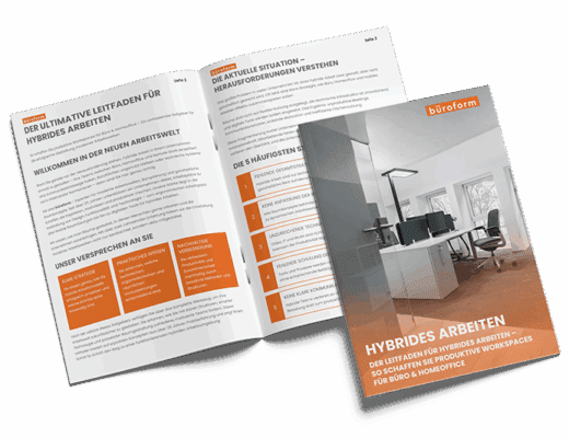 Hybrides arbeiten E-Book Cover